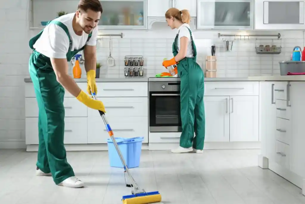Kitchen Cleaning Services